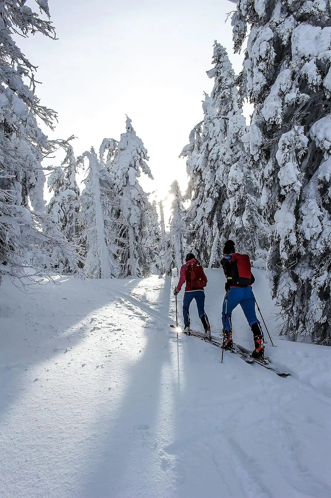 Ski-Woche - 7 Nächte u. 6-Tagesskipass